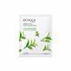 Маска для обличчя з екстрактом зеленого чаю Bioaqua Green Tea Moisturizing Mask NO.BQY74992 фото 1
