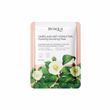 Маска для обличчя з екстрактом камелії Bioaqua Camellias Anti-Oxidation Hydrating Nourishing Mask 0г
